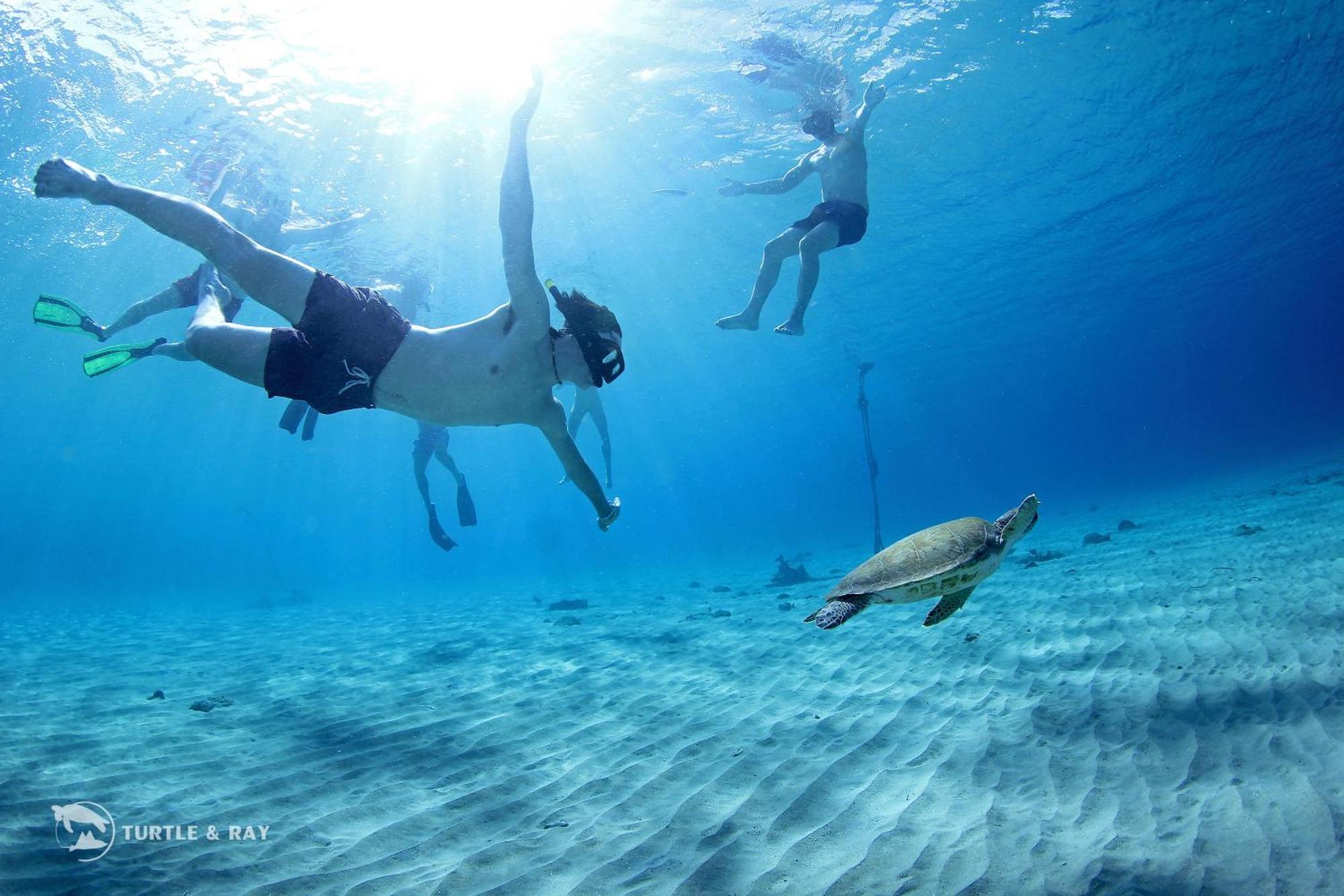 Lagun Blou Resort Curacao Kültér fotó
