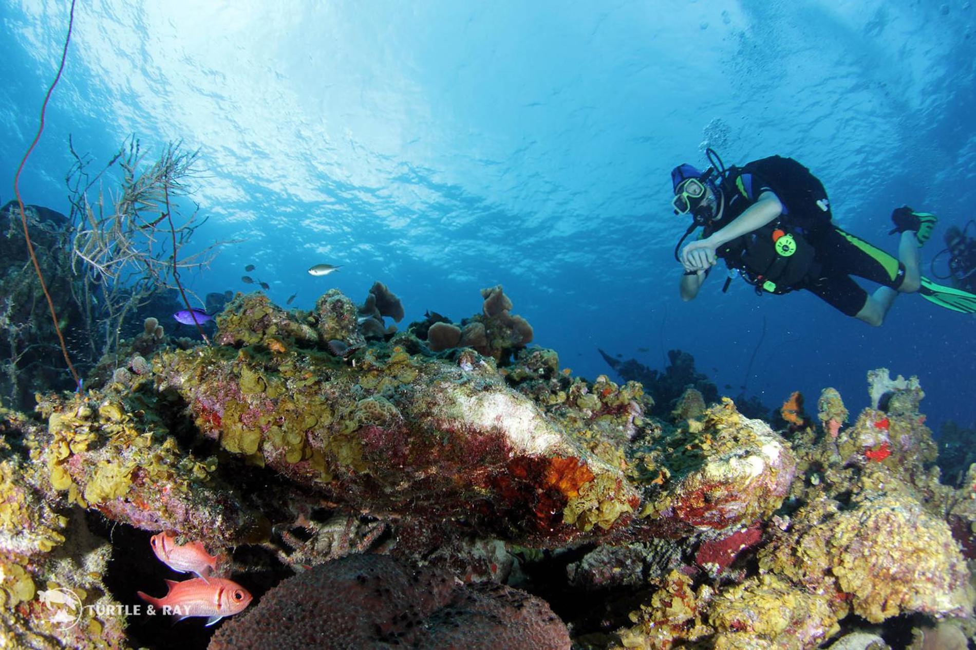 Lagun Blou Resort Curacao Kültér fotó