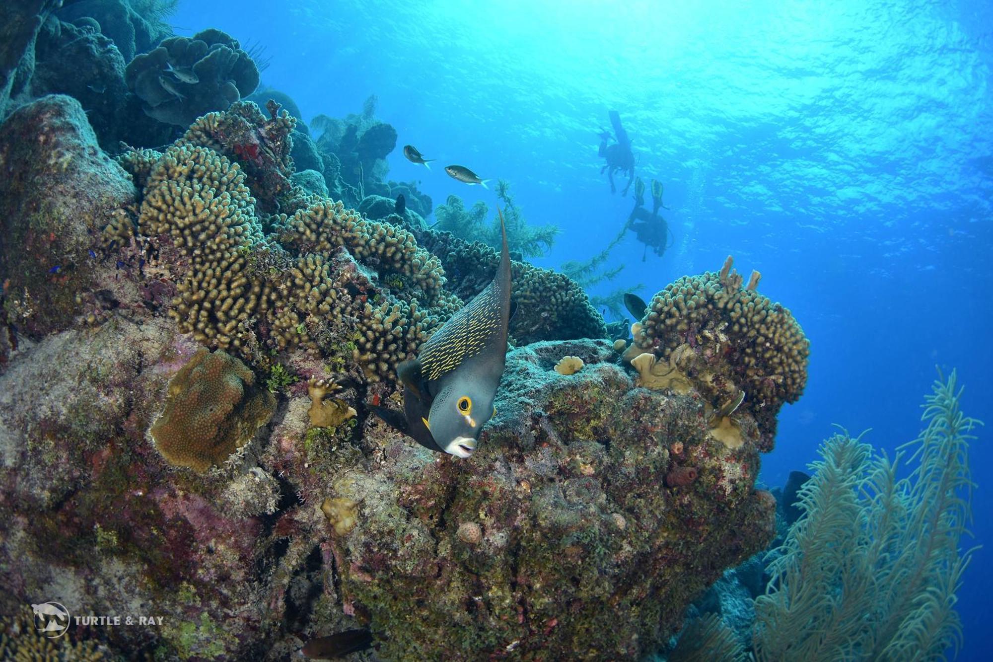 Lagun Blou Resort Curacao Kültér fotó