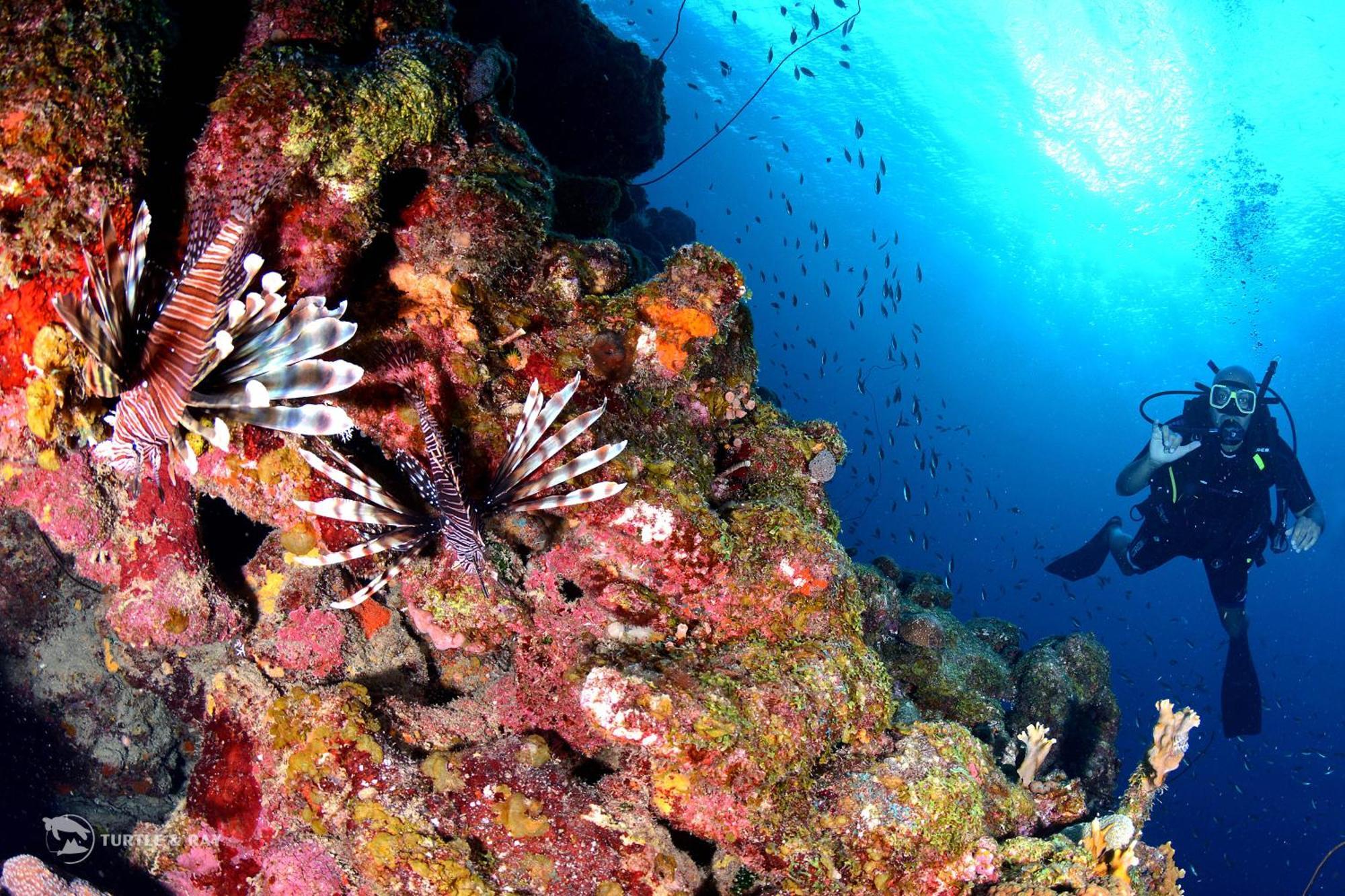 Lagun Blou Resort Curacao Kültér fotó